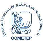 Cometep