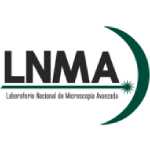 LNMA Siglo XXI